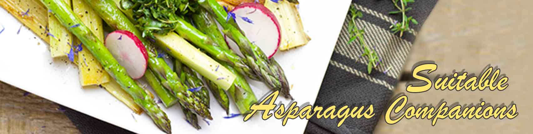 Spargelzeit-Weinzeit